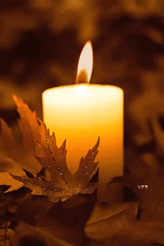 Eco-candles